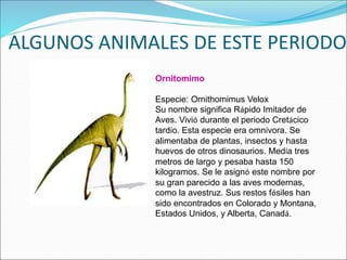 ALGUNOS ANIMALES DE ESTE PERIODO
Ornitomimo
Especie: Ornithomimus Velox
Su nombre significa Rápido Imitador de
Aves. Vivió durante el periodo Cretácico
tardío. Esta especie era omnívora. Se
alimentaba de plantas, insectos y hasta
huevos de otros dinosaurios. Medía tres
metros de largo y pesaba hasta 150
kilogramos. Se le asignó este nombre por
su gran parecido a las aves modernas,
como la avestruz. Sus restos fósiles han
sido encontrados en Colorado y Montana,
Estados Unidos, y Alberta, Canadá.
 