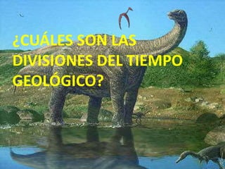 ¿CUÁLES SON LAS
DIVISIONES DEL TIEMPO
GEOLÓGICO?
 