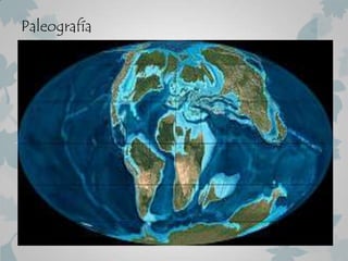 Paleografía
 