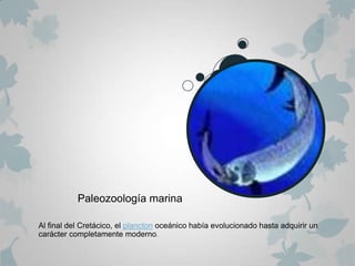 Paleozoología marina

Al final del Cretácico, el plancton oceánico había evolucionado hasta adquirir un
carácter completamente moderno.
 