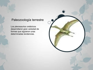 Paleozoología terrestre

Los pterosaurios cretácicos
desarrollaron gran variedad de
formas que siguieron unas
determinadas tendencias.
 