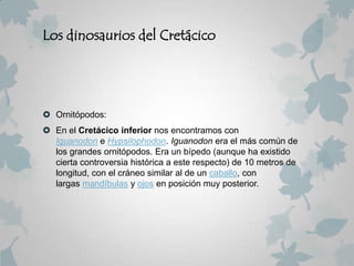 Los dinosaurios del Cretácico




 Ornitópodos:
 En el Cretácico inferior nos encontramos con
  Iguanodon e Hypsilophodon. Iguanodon era el más común de
  los grandes ornitópodos. Era un bípedo (aunque ha existido
  cierta controversia histórica a este respecto) de 10 metros de
  longitud, con el cráneo similar al de un caballo, con
  largas mandíbulas y ojos en posición muy posterior.
 