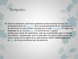 Terópodos:


 Entre los terópodos carnívoros podríamos incluir diversas formas. En 1983,
  el descubrimiento de Baryonyx llevó al reconocimiento de un nuevo grupo
  de carnívoros en este animal, conocido por un solo esqueleto. El rasgo más
  destacado es su inmensa garra en forma de hoz. La garra
  de Baryonyx medía 30 centímetros, más que considerable para un animal
  de 9 metros. Curiosamente, aún no está claro si la garra estaba unida a la
  mano o al pie. En la región de su caja torácica, fueron halladas escamas
  de pez, de lo que se deduce que era piscívoro.
 