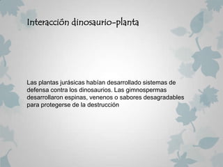 Interacción dinosaurio-planta




Las plantas jurásicas habían desarrollado sistemas de
defensa contra los dinosaurios. Las gimnospermas
desarrollaron espinas, venenos o sabores desagradables
para protegerse de la destrucción
 