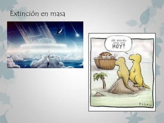 Extinción en masa
 
