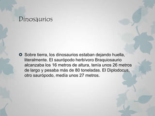 Dinosaurios




 Sobre tierra, los dinosaurios estaban dejando huella,
  literalmente. El saurópodo herbívoro Braquiosaurio
  alcanzaba los 16 metros de altura, tenía unos 26 metros
  de largo y pesaba más de 80 toneladas. El Diplodocus,
  otro saurópodo, medía unos 27 metros.
 