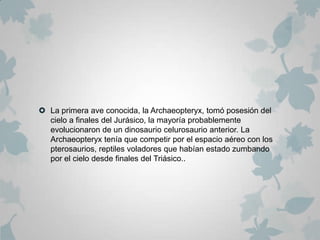  La primera ave conocida, la Archaeopteryx, tomó posesión del
  cielo a finales del Jurásico, la mayoría probablemente
  evolucionaron de un dinosaurio celurosaurio anterior. La
  Archaeopteryx tenía que competir por el espacio aéreo con los
  pterosaurios, reptiles voladores que habían estado zumbando
  por el cielo desde finales del Triásico..
 