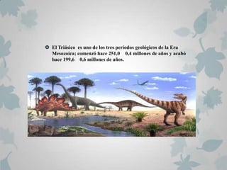  El Triásico es uno de los tres períodos geológicos de la Era
  Mesozoica; comenzó hace 251,0 0,4 millones de años y acabó
  hace 199,6 0,6 millones de años.
 