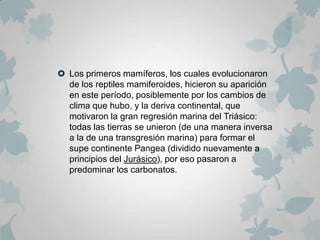  Los primeros mamíferos, los cuales evolucionaron
  de los reptiles mamiferoides, hicieron su aparición
  en este período, posiblemente por los cambios de
  clima que hubo, y la deriva continental, que
  motivaron la gran regresión marina del Triásico:
  todas las tierras se unieron (de una manera inversa
  a la de una transgresión marina) para formar el
  supe continente Pangea (dividido nuevamente a
  principios del Jurásico), por eso pasaron a
  predominar los carbonatos.
 