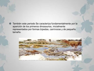  También este periodo Se caracteriza fundamentalmente por la
  aparición de los primeros dinosaurios, inicialmente
  representados por formas bípedas, carnívoras y de pequeño
  tamaño.
 