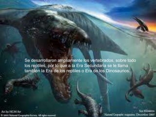  Se desarrollaron ampliamente los vertebrados, sobre todo
  los reptiles, por lo que a la Era Secundaria se le llama
  también la Era de los reptiles o Era de los Dinosaurios.
 