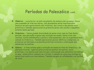 Períodos do Paleozóico

cont.





Ordovícico – Houve grande diversidade de seres vivos, mas no final deste
período, uma glaciação originou uma extinção em massa. Seres vivos com
conchas, outros semelhantes a polvos e lulas passaram a ser os organismos mais
comuns no Ordovícico. Também apareceram peixes idênticos a lampreias, os
primeiros vertebrados e as plantas primitivas iniciaram a colonização dos
ambientes terrestres.



5

Câmbrico – caracteriza –se pelo surgimento de animais com carapaça. Houve
uma expansão de Vida nos mares, com abundantes seres invertebrados.
Destaca-se pelo aparecimento das trilobites, dos corais e dos peixes mais
primitivos e também apareceram os primeiros seres com concha e esqueleto
externo neste período.

Silúrico – A Vida retoma após a extinção em massa no final do Ordovícico. Os
pântanos ficaram repletos pelas primeiras plantas terrestres, muito
primitivas, e os insetos sem asas iniciam a colonização dos ambientes terrestres
ou seja , nessa altura começou-se a formar a camada do ozono que protege os
seres vivos contra os raios solares. Também surgem os cefalópodes e os recifes
de coral.

 