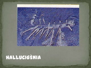 HALLUCIGÈNIA
 