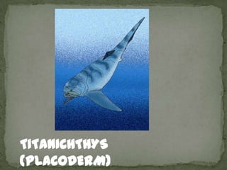 TITANICHTHYS
(PLACODERM)
 