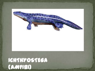 ICHTHYOSTEGA
(AMFIBI)
 