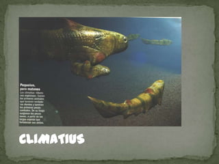 CLIMATIUS
 