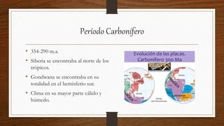Período Carbonífero
• 354-290 m.a.
• Siberia se encontraba al norte de los
trópicos.
• Gondwana se encontraba en su
totalidad en el hemisferio sur.
• Clima en su mayor parte cálido y
húmedo.
 