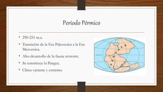 Período Pérmico
• 290-251 m.a.
• Transición de la Era Paleozoica a la Era
Mesozoica.
• Alto desarrollo de la fauna terrestre.
• Se constituye la Pangea.
• Clima variante y extremo.
 