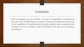 Conclusión
• Esta investigación nos ha ayudado a conocer y comprender la evolución de
los seres vivos del Paleozoico, en donde se destacan los primeros antecesores
de los mamíferos y la proliferación de muchas especies, tanto acuáticas como
terrestres. Esto nos ayudará a enlazar la historia con la que aún se construye
actualmente.
 