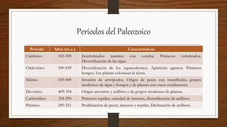Periodos del Paleozoico
Período Años (m.a.) Características
Cámbrico 543-500 Invertebrados marinos con concha. Primeros vertebrados.
Diversificación de las algas.
Ordovícico 500-439 Diversificación de los equinodermos. Aparición agnatos. Primeros
hongos. Las plantas colonizan la tierra.
Silúrico 439-409 Invasión de artrópodos. Origen de peces con mandíbulas, grupos
modernos de algas y hongos y de plantas con vasos conductores.
Devónico 409-354 Origen amonites y anfibios y de grupos modernos de plantas.
Carbonífero 354-290 Primeros reptiles, variedad de insectos, diversificación de anfibios.
Pérmico 290-251 Proliferación de peces, insectos y reptiles. Declinación de anfibios.
 