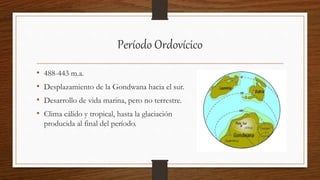 Período Ordovícico
• 488-443 m.a.
• Desplazamiento de la Gondwana hacia el sur.
• Desarrollo de vida marina, pero no terrestre.
• Clima cálido y tropical, hasta la glaciación
producida al final del período.
 