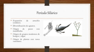 Período Silúrico
• Expansión de arrecifes
coralinos.
• Diversificación de agnatos.
• Origen de peces con
mandíbulas.
• Origen de grupos modernos de
hongos y algas.
• Origen de plantas con vasos
vasculares.
 