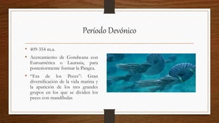 Período Devónico
• 409-354 m.a.
• Acercamiento de Gondwana con
Euroamérica o Laurasia, para
posteriormente formar la Pangea.
• “Era de los Peces”: Gran
diversificación de la vida marina y
la aparición de los tres grandes
grupos en los que se dividen los
peces con mandíbulas
 