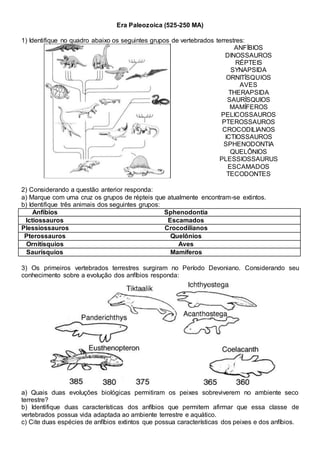 Era Paleozoica (525-250 MA)
1) Identifique no quadro abaixo os seguintes grupos de vertebrados terrestres:
ANFÍBIOS
DINOSSAUROS
RÉPTEIS
SYNAPSIDA
ORNITÍSQUIOS
AVES
THERAPSIDA
SAURÍSQUIOS
MAMÍFEROS
PELICOSSAUROS
PTEROSSAUROS
CROCODILIANOS
ICTIOSSAUROS
SPHENODONTIA
QUELÔNIOS
PLESSIOSSAURUS
ESCAMADOS
TECODONTES
2) Considerando a questão anterior responda:
a) Marque com uma cruz os grupos de répteis que atualmente encontram-se extintos.
b) Identifique três animais dos seguintes grupos:
Anfíbios Sphenodontia
Ictiossauros Escamados
Plessiossauros Crocodilianos
Pterossauros Quelônios
Ornitísquios Aves
Saurísquios Mamíferos
3) Os primeiros vertebrados terrestres surgiram no Período Devoniano. Considerando seu
conhecimento sobre a evolução dos anfíbios responda:
a) Quais duas evoluções biológicas permitiram os peixes sobreviverem no ambiente seco
terrestre?
b) Identifique duas características dos anfíbios que permitem afirmar que essa classe de
vertebrados possua vida adaptada ao ambiente terrestre e aquático.
c) Cite duas espécies de anfíbios extintos que possua características dos peixes e dos anfíbios.
 