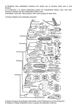 d) Identifique duas adaptações evolutivas dos répteis que os tornaram aptos para a vida
terrestre.
e) O celacanto e os peixes pulmonados podem ser considerados fósseis vivos. Cite cinco
animais ou plantas que são considerados fósseis vivos.
f) Identifique outros três “elos perdidos” entre outros grupos de seres vivos.
4) Sobre a filogenia dos artrópodes responda:
a) Quais os grupos de artrópodes dominantes na Era Paleozoica e na Era Cenozoica?
b) Explique a relação filogenética entre os grupos de artrópodes modernos.
 