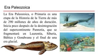 Era Paleozoica
La Era Paleozoica, o Primaria es una
etapa de la Historia de la Tierra de más
de 290 millones de años de duración.
Inicia poco después de la desintegración
del supercontinente Pannotia, que se
fragmentará en Laurentia, Siberia,
Báltica y Gondwana y el final de una
era glacial.
 