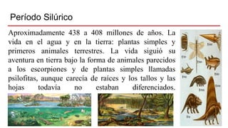 Período Silúrico
Aproximadamente 438 a 408 millones de años. La
vida en el agua y en la tierra: plantas simples y
primeros animales terrestres. La vida siguió su
aventura en tierra bajo la forma de animales parecidos
a los escorpiones y de plantas simples llamadas
psilofitas, aunque carecía de raíces y los tallos y las
hojas todavía no estaban diferenciados.
 