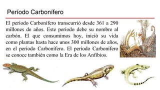 Período Carbonífero
El período Carbonífero transcurrió desde 361 a 290
millones de años. Este período debe su nombre al
carbón. El que consumimos hoy, inició su vida
como plantas hasta hace unos 300 millones de años,
en el período Carbonífero. El período Carbonífero
se conoce también como la Era de los Anfibios.
 