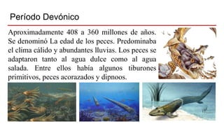 Período Devónico
Aproximadamente 408 a 360 millones de años.
Se denominó La edad de los peces. Predominaba
el clima cálido y abundantes lluvias. Los peces se
adaptaron tanto al agua dulce como al agua
salada. Entre ellos había algunos tiburones
primitivos, peces acorazados y dipnoos.
 