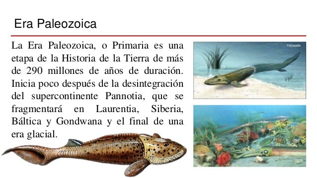 Era paleozoica