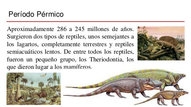 Era paleozoica