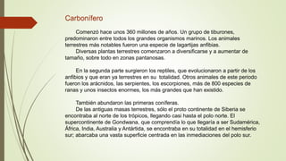 Carbonífero
Comenzó hace unos 360 millones de años. Un grupo de tiburones,
predominaron entre todos los grandes organismos marinos. Los animales
terrestres más notables fueron una especie de lagartijas anfibias.
Diversas plantas terrestres comenzaron a diversificarse y a aumentar de
tamaño, sobre todo en zonas pantanosas.
En la segunda parte surgieron los reptiles, que evolucionaron a partir de los
anfibios y que eran ya terrestres en su totalidad. Otros animales de este periodo
fueron los arácnidos, las serpientes, los escorpiones, más de 800 especies de
ranas y unos insectos enormes, los más grandes que han existido.
También abundaron las primeras coníferas.
De las antiguas masas terrestres, sólo el proto continente de Siberia se
encontraba al norte de los trópicos, llegando casi hasta el polo norte. El
supercontinente de Gondwana, que comprendía lo que llegaría a ser Sudamérica,
África, India, Australia y Antártida, se encontraba en su totalidad en el hemisferio
sur; abarcaba una vasta superficie centrada en las inmediaciones del polo sur.
 