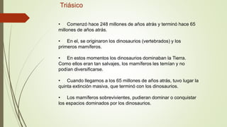 Triásico
• Comenzó hace 248 millones de años atrás y terminó hace 65
millones de años atrás.
• En el, se originaron los dinosaurios (vertebrados) y los
primeros mamíferos.
• En estos momentos los dinosaurios dominaban la Tierra.
Como ellos eran tan salvajes, los mamíferos les temían y no
podían diversificarse.
• Cuando llegamos a los 65 millones de años atrás, tuvo lugar la
quinta extinción masiva, que terminó con los dinosaurios.
• Los mamíferos sobrevivientes, pudieran dominar o conquistar
los espacios dominados por los dinosaurios.
 