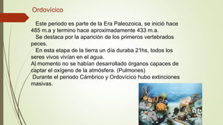 Ordovícico
Este periodo es parte de la Era Paleozoica, se inició hace
485 m.a y termino hace aproximadamente 433 m.a.
Se destaca por la aparición de los primeros vertebrados
peces.
En esta etapa de la tierra un día duraba 21hs, todos los
seres vivos vivían en el agua.
Al momento no se habían desarrollado órganos capaces de
captar el oxígeno de la atmósfera. (Pulmones)
Durante el periodo Cámbrico y Ordovícico hubo extinciones
masivas.
 