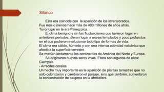 Silúrico
Esta era coincide con la aparición de los invertebrados.
Fue más o menos hace más de 400 millones de años atrás.
Tuvo lugar en la era Paleozoica.
El clima benigno y sin las fluctuaciones que tuvieron lugar en
anteriores periodos, dieron lugar a mares templados y poco profundos
en el que pudieron evolucionar todo tipo de formas de vida.
El clima era cálido, húmedo y con una intensa actividad volcánica que
afectó a la superficie terrestre.
Se movían lentamente los continentes de América del Norte y Europa.
Se originaron nuevos seres vivos. Estos son algunos de ellos:
Ciempiés
- Arrecifes corales
Un hecho muy importante es la aparición de plantas terrestres que no
solo colonizaron y cambiaron el paisaje, sino que también, aumentaron
la concentración de oxígeno en la atmósfera.
 