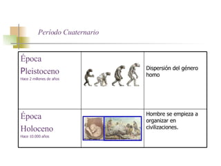 Período Cuaternario Hombre se empieza a organizar en civilizaciones. Época Holoceno Hace 10.000 años Dispersión del género homo Época P leistoceno   Hace 2 millones de años 