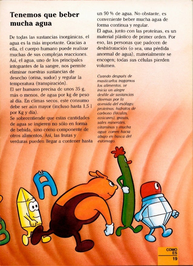 Erase Una Vez El Cuerpo Humano La Digestion