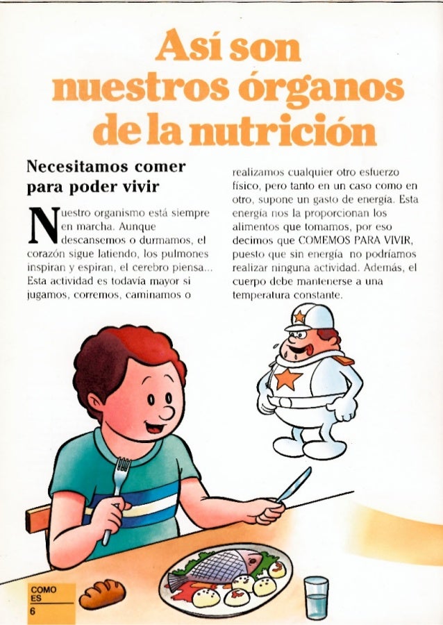 Erase Una Vez El Cuerpo Humano La Digestion