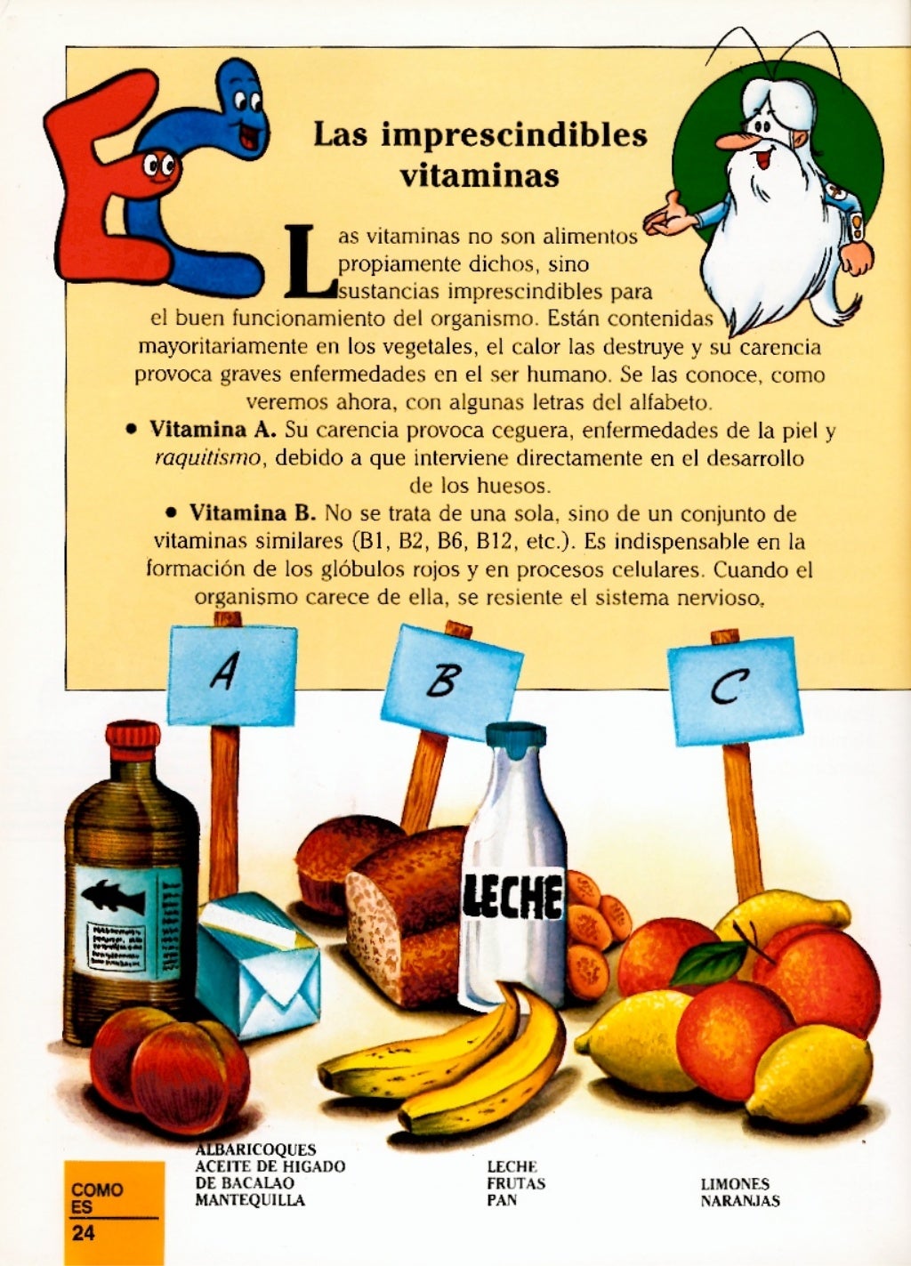 Erase Una Vez El Cuerpo Humano La Digestion