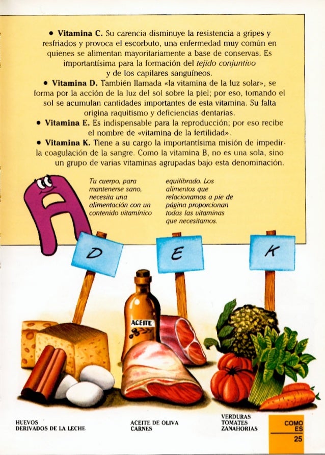 Erase Una Vez El Cuerpo Humano La Digestion