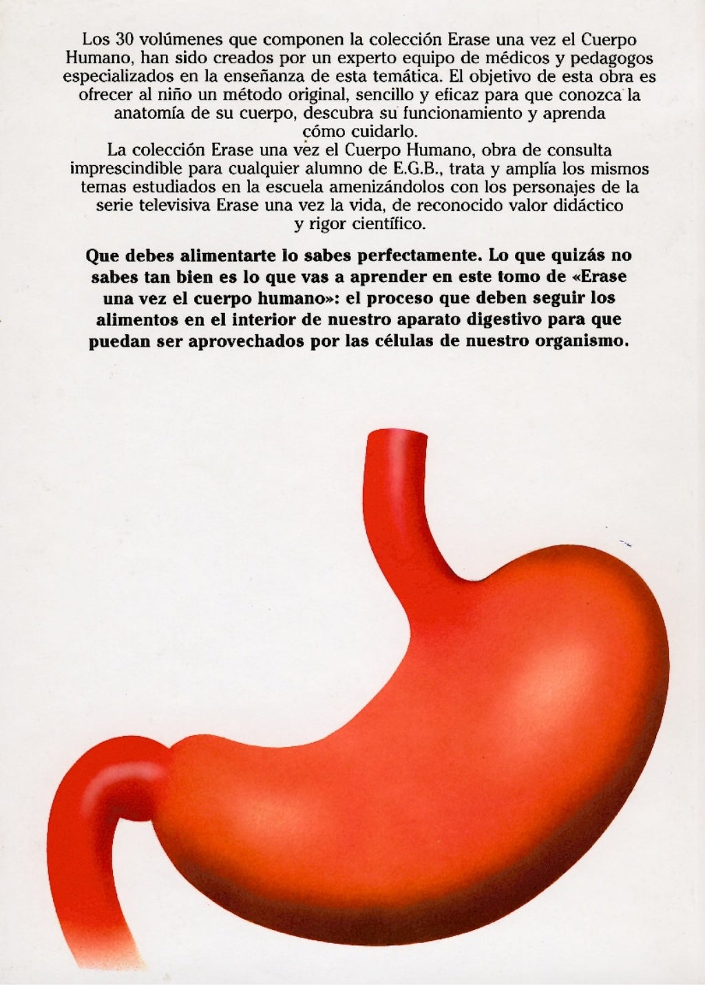 Erase Una Vez El Cuerpo Humano La Digestion