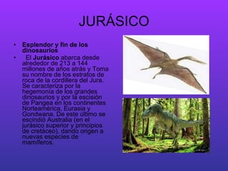 JURÁSICO Esplendor y fin de los dinosaurios El  Jurásico  abarca desde alrededor de 213 a 144 millones de años atrás y Toma su nombre de los estratos de roca de la cordillera del Jura. Se caracteriza por la hegemonía de los grandes dinosaurios y por la escisión de Pangea en los continentes Norteamérica, Eurasia y Gondwana. De este último se escindió Australia (en el jurásico superior y principios de cretáceo), dando origen a nuevas especies de mamíferos. 