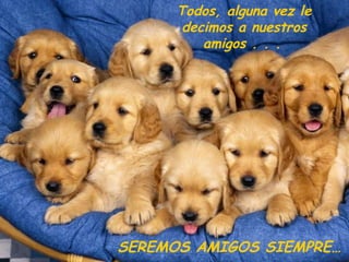 Todos, alguna vez le decimos a nuestros amigos . . .   SEREMOS AMIGOS SIEMPRE… 