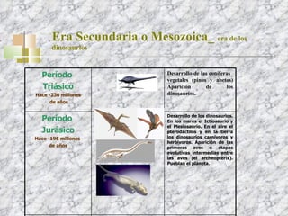 Era Secundaria o Mesozoica_  era de los dinosaurios Período  Triásico Hace -230 millones de años Desarrollo de las coníferas_ vegetales (pinos y abetos) Aparición de los dinosaurios. Período  Jurásico Hace -195 millones  de años Desarrollo de los dinosaurios. En los mares el Ictiosaurio y el Plesiosaurio. En el aire el pterodáctilos y en la tierra los dinosaurios carnívoros y herbívoros. Aparición de las primeras aves o etapas evolutivas intermedias entre las aves (el archeopterix). Pueblan el planeta. Período  Cretácico Hace -141 millones de años Se inicia el desarrollo primitivo de los primeros mamíferos. 
