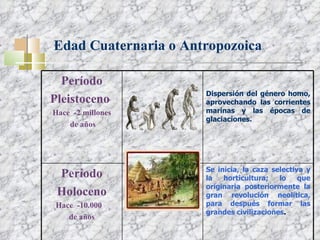 Edad Cuaternaria o Antropozoica Período Pleistoceno   Hace  -2 millones de años Dispersión del género homo, aprovechando las corrientes marinas y las épocas de glaciaciones. Período Holoceno Hace  -10.000  de años Se inicia, la caza selectiva y la horticultura; lo que originaria posteriormente la gran revolución neolítica, para después formar las grandes civilizaciones . 