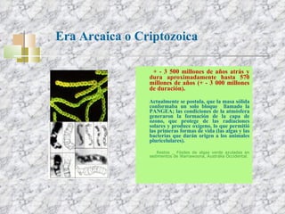 + - 3 500 millones de años atrás y dura aproximadamente hasta 570 millones de años (+ - 3 000 millones de duración). Actualmente se postula, que la masa sólida conformaba un solo bloque  llamado la PANGEA; las condiciones de la atmósfera generaron la formación de la capa de ozono, que protege de las radiaciones solares y produce oxígeno, lo que permitió las primeras formas de vida (las algas y las bacterias que darán origen a los animales pluricelulares). Restos _ Fósiles de algas verde azuladas en sedimentos de Warrawoona, Australia Occidental.  Era Arcaica o Criptozoica 